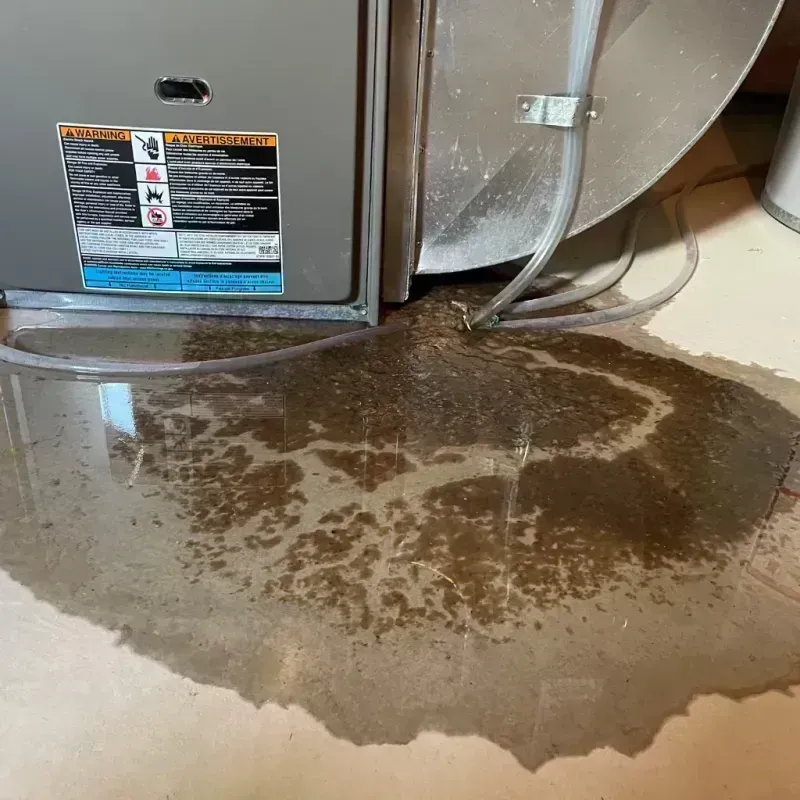 Appliance Leak Cleanup in Minneota, MN